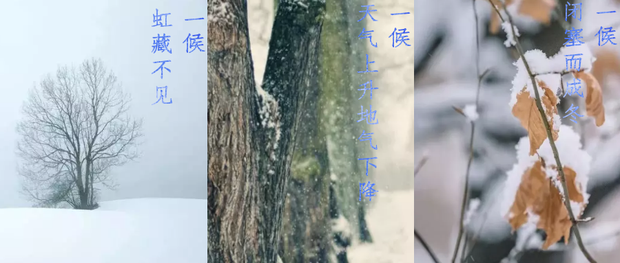 今日小雪，寒潮來襲，洗瓶機(jī)來幫你解放雙手吧！